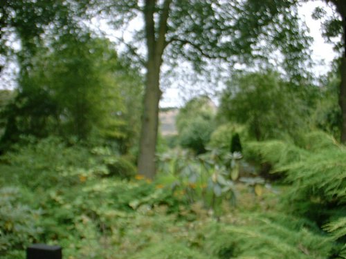 DSCF0028.JPG