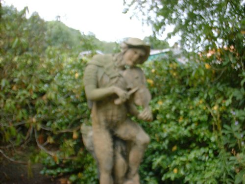 DSCF0029.JPG