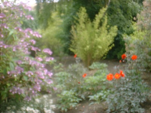 DSCF0035.JPG