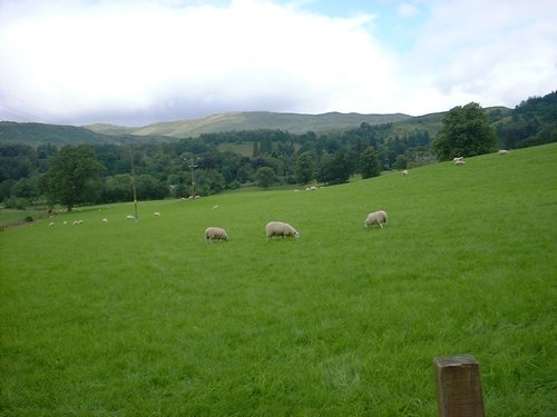 DSCF0045.JPG