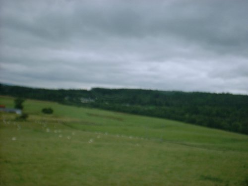 DSCF0049.JPG