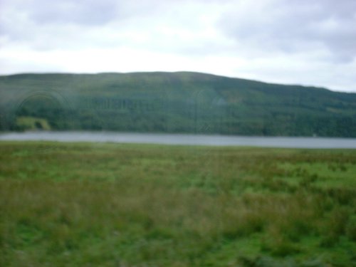 DSCF0050.JPG