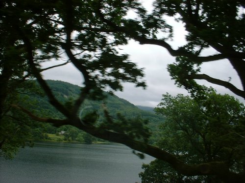 DSCF0062.JPG