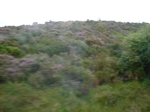 DSCF0066.JPG