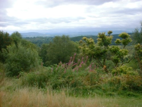 DSCF0069.JPG