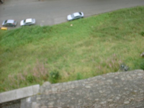 DSCF0095.JPG