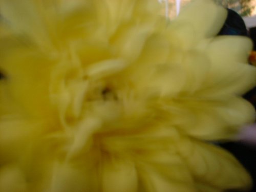 DSCF0111.JPG