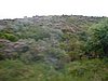 DSCF0066.JPG
