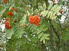 DSCF0072.JPG