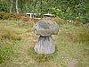 DSCF0073.JPG