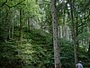 DSCF0088.JPG