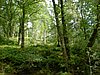 DSCF0091.JPG